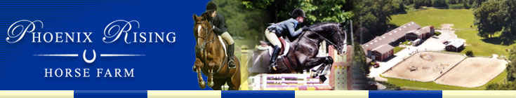 Phoenix Rising Horse Farm